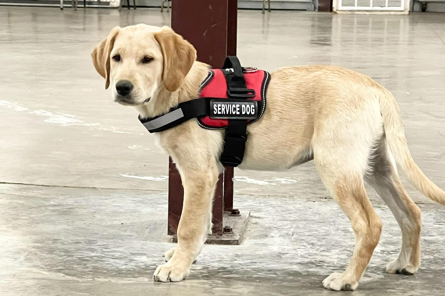 cropped-intraining.jpg