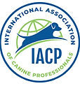 IACP