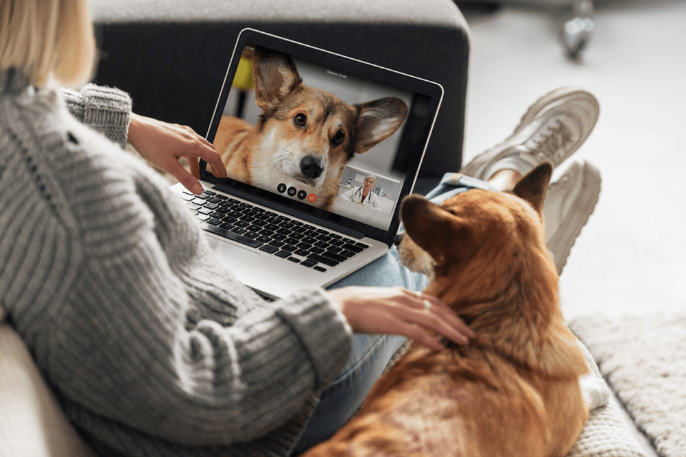oncall_desktop_dog-1-1000x667-1